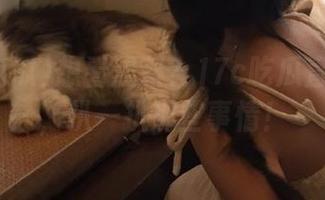 想看黑料？17c吃瓜直达真相，扒一扒那些事情！