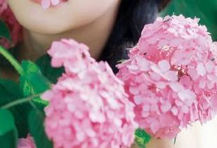 51吃瓜：朝阳群众今日大分享，带你嗨玩八卦圈！