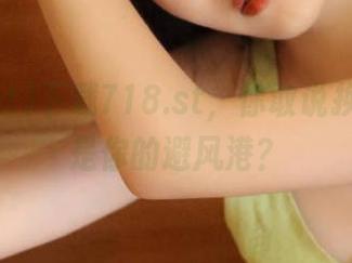 下载718.st，你敢说换哪了不是你的避风港？