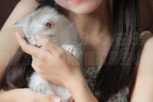 分享：在好莱坞黑料正能量里，我们都懂的那些小秘密