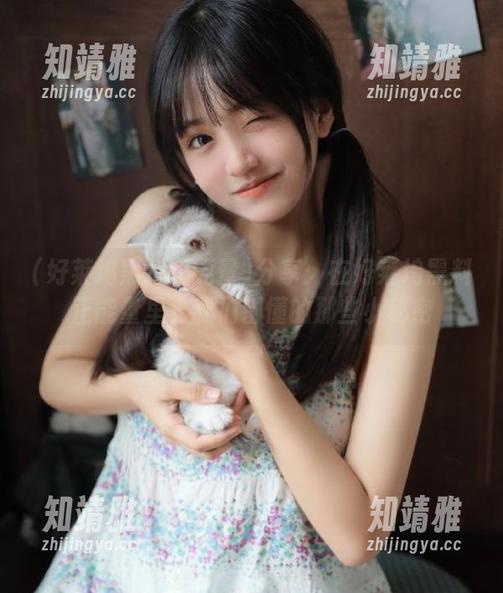 分享：在好莱坞黑料正能量里，我们都懂的那些小秘密
