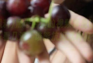 黑哥黑料的视频真是让人忍不住多看几遍，谁能抗拒这种魔性？