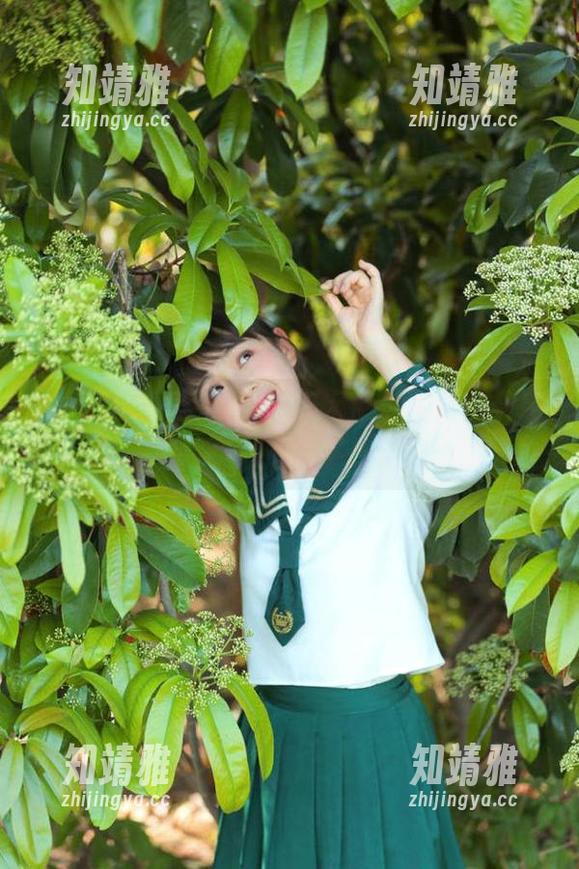 黑料吃瓜网带你飞，安卓用户在中心追星不止步！
